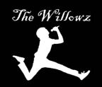 The Willowz